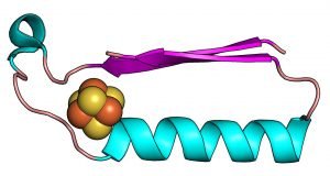 Scientists have discovered the origins of the building blocks of life