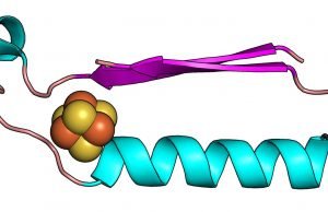 Scientists have discovered the origins of the building blocks of life Scientists have discovered the origins of the building blocks of life
