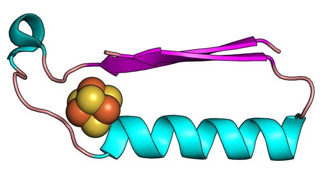 Scientists have discovered the origins of the building blocks of life