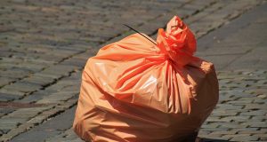 Scientists identify microbe that could help degrade polyurethane based plastics