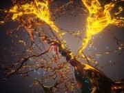 Scientists program cells to carry out gene guided construction projects