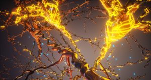 Scientists program cells to carry out gene guided construction projects