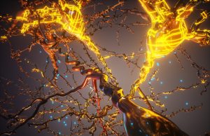 Scientists program cells to carry out gene-guided construction projects Scientists program cells to carry out gene guided construction projects