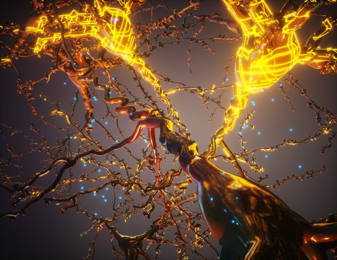 Scientists program cells to carry out gene-guided construction projects Scientists program cells to carry out gene guided construction projects