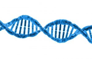 Scientists reveal how proteins team up to repair DNA Scientists reveal how proteins team up to repair DNA