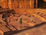 The life and death of one of Americas most mysterious trees