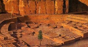 The life and death of one of Americas most mysterious trees