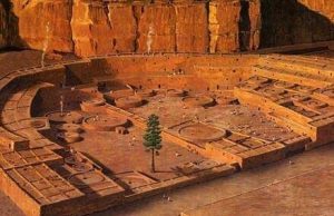 The life and death of one of America’s most mysterious trees The life and death of one of Americas most mysterious trees