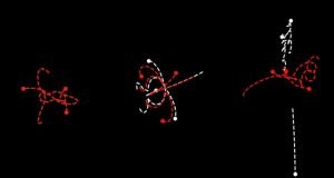 Time symmetry and the laws of physics