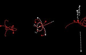 Time symmetry and the laws of physics Time symmetry and the laws of physics