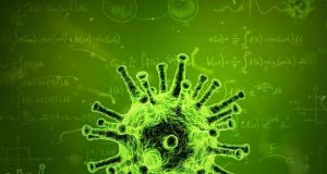 To predict an epidemic evolution cant be ignored