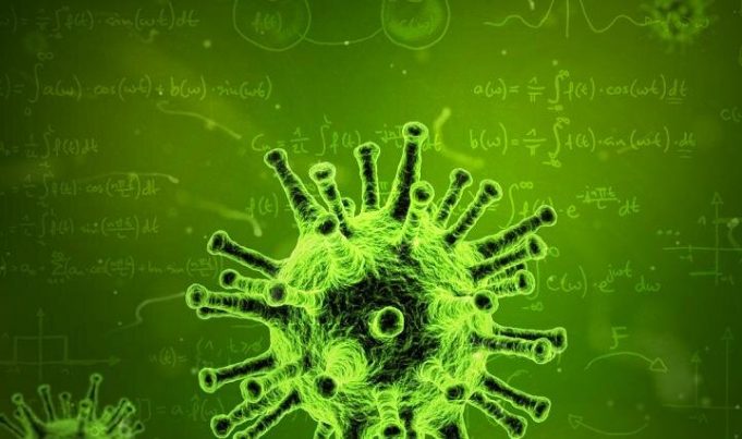 To predict an epidemic, evolution can’t be ignored To predict an epidemic evolution cant be ignored