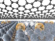 Two dimensional metals open pathways to new science