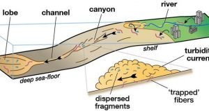 Underwater avalanches are trapping microplastics in the deep ocean