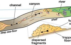 Underwater avalanches are trapping microplastics in the deep ocean Underwater avalanches are trapping microplastics in the deep ocean