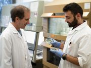 Unexpected discovery Blue green algae produce oil