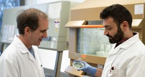 Unexpected discovery Blue green algae produce oil