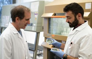 Unexpected discovery: Blue-green algae produce oil Unexpected discovery Blue green algae produce oil