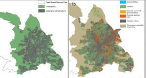 Urban land could grow fruit and veg for 15 per cent of the population research shows