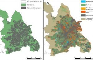 Urban land could grow fruit and veg for 15 per cent of the population, research shows Urban land could grow fruit and veg for 15 per cent of the population research shows