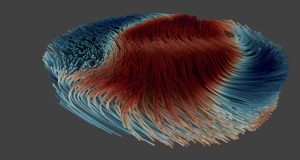 Watching magnetic nano tornadoes in 3 D