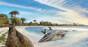 Wonderchicken fossil from the age of dinosaurs reveals origin of modern birds scaled