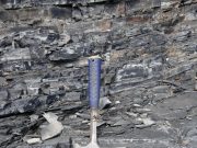 ‘A bad time to be alive’: Study links ocean deoxygenation to ancient die-off A bad time to be alive Study links ocean deoxygenation to ancient die off scaled