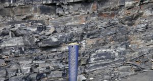 A bad time to be alive Study links ocean deoxygenation to ancient die off scaled