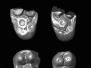 Ancient teeth from Peru hint now-extinct monkeys crossed Atlantic from Africa Ancient teeth from Peru hint now extinct monkeys crossed Atlantic from Africa