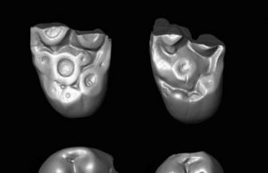 Ancient teeth from Peru hint now-extinct monkeys crossed Atlantic from Africa Ancient teeth from Peru hint now extinct monkeys crossed Atlantic from Africa