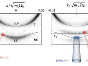 Applying quantum impurity theory to quantum fluids of light
