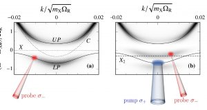 Applying quantum impurity theory to quantum fluids of light