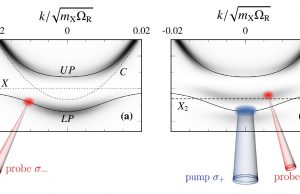 Applying quantum-impurity theory to quantum fluids of light Applying quantum impurity theory to quantum fluids of light