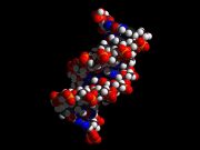 DNA may not be lifes instruction book—just a jumbled list of ingredients