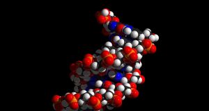 DNA may not be lifes instruction book—just a jumbled list of ingredients