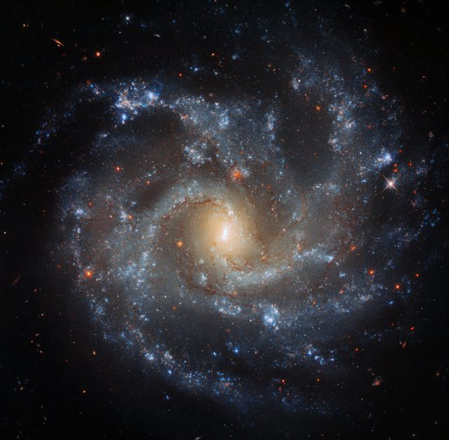 Galactic bulge modeling sheds light on galaxy evolution scaled