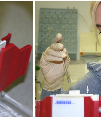 Geneticists discover regulatory mechanism of chromosome inheritance scaled