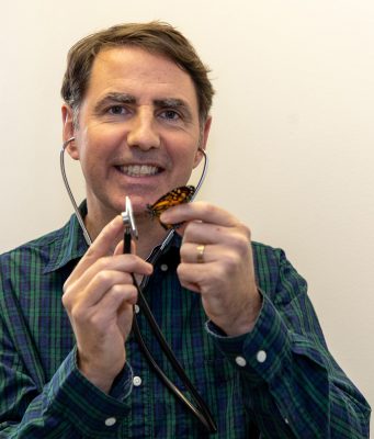 Human handling stresses young monarch butterflies