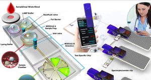 Inexpensive portable detector identifies pathogens in minutes