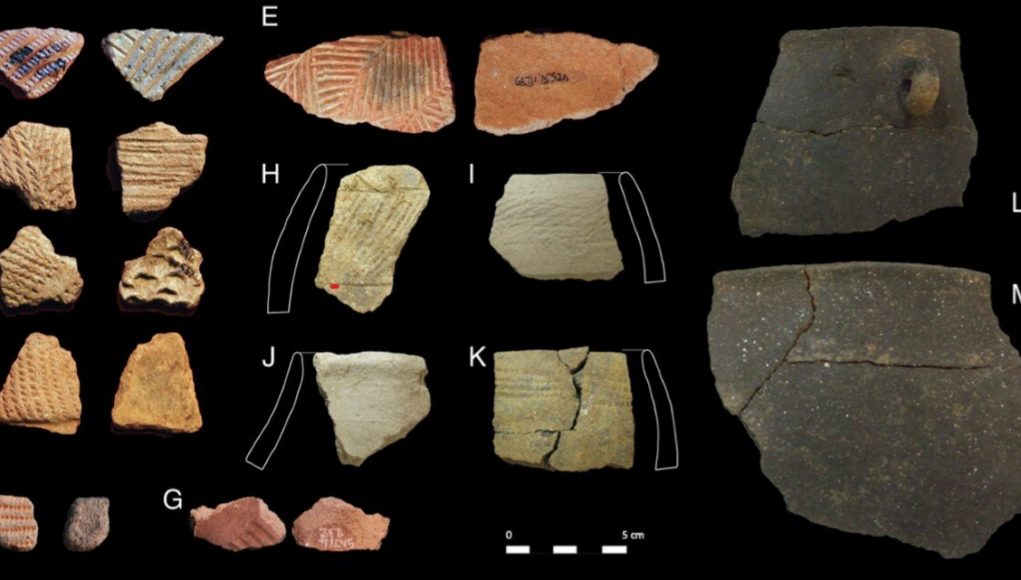 Molecular and isotopic evidence of milk meat and plants in prehistoric food systems