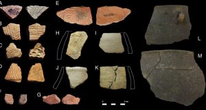 Molecular and isotopic evidence of milk meat and plants in prehistoric food systems
