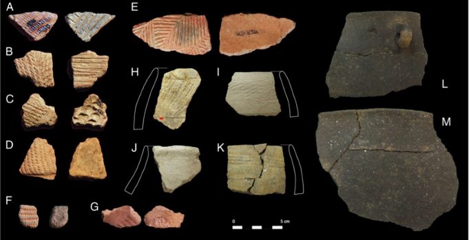 Molecular and isotopic evidence of milk meat and plants in prehistoric food systems