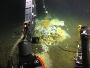 New ethane munching microbes discovered at hot vents scaled