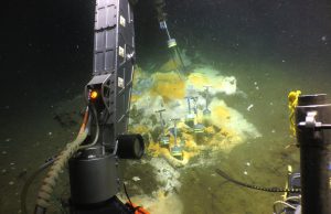New ethane munching microbes discovered at hot vents scaled