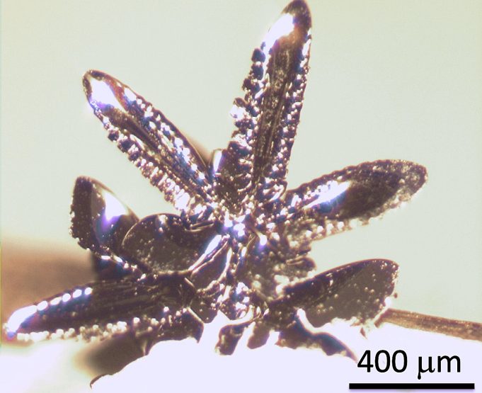 New handle for controlling electromagnetic properties could enable spintronic computing New handle for controlling electromagnetic properties could enable spintronic computing