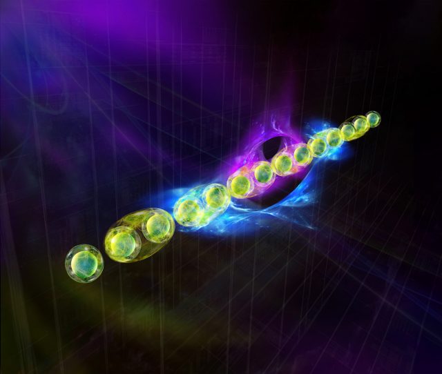 New protocol identifies fascinating quantum states scaled New protocol identifies fascinating quantum states scaled