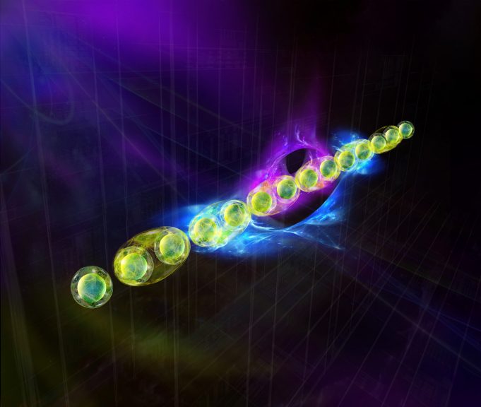 New protocol identifies fascinating quantum states New protocol identifies fascinating quantum states scaled