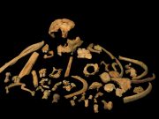 Oldest ever human genetic evidence clarifies dispute over our ancestors