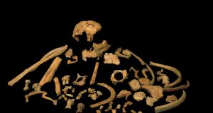 Oldest ever human genetic evidence clarifies dispute over our ancestors