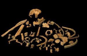 Oldest-ever human genetic evidence clarifies dispute over our ancestors Oldest ever human genetic evidence clarifies dispute over our ancestors